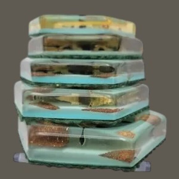 Vintage MCM Lucite 5 Coaster Set Seagull Ocean Beach Bar Drink Ware Granny Core - Picture 10 of 11